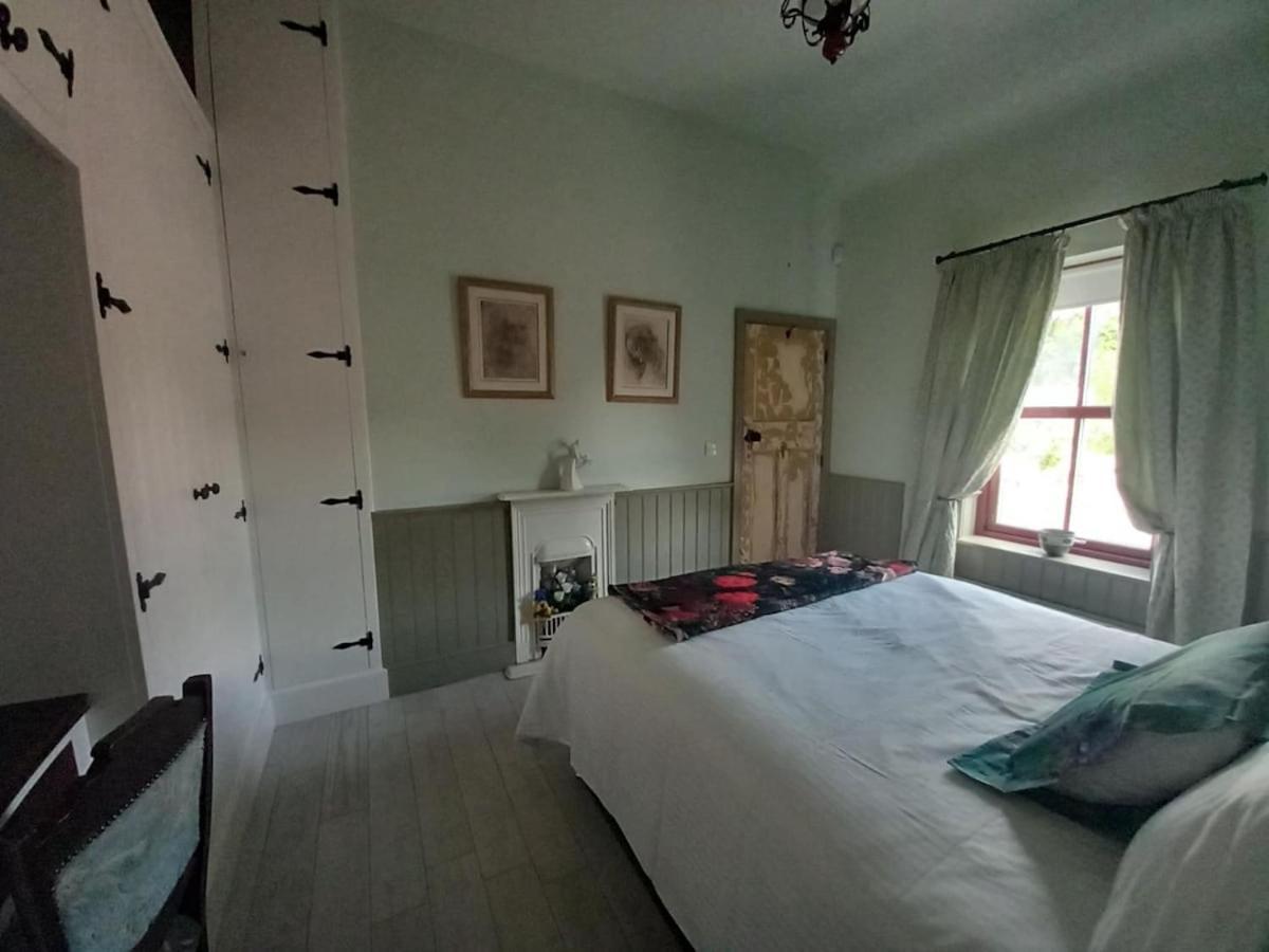 Hemma Grove - A Songbird Haven * Kilkenny
