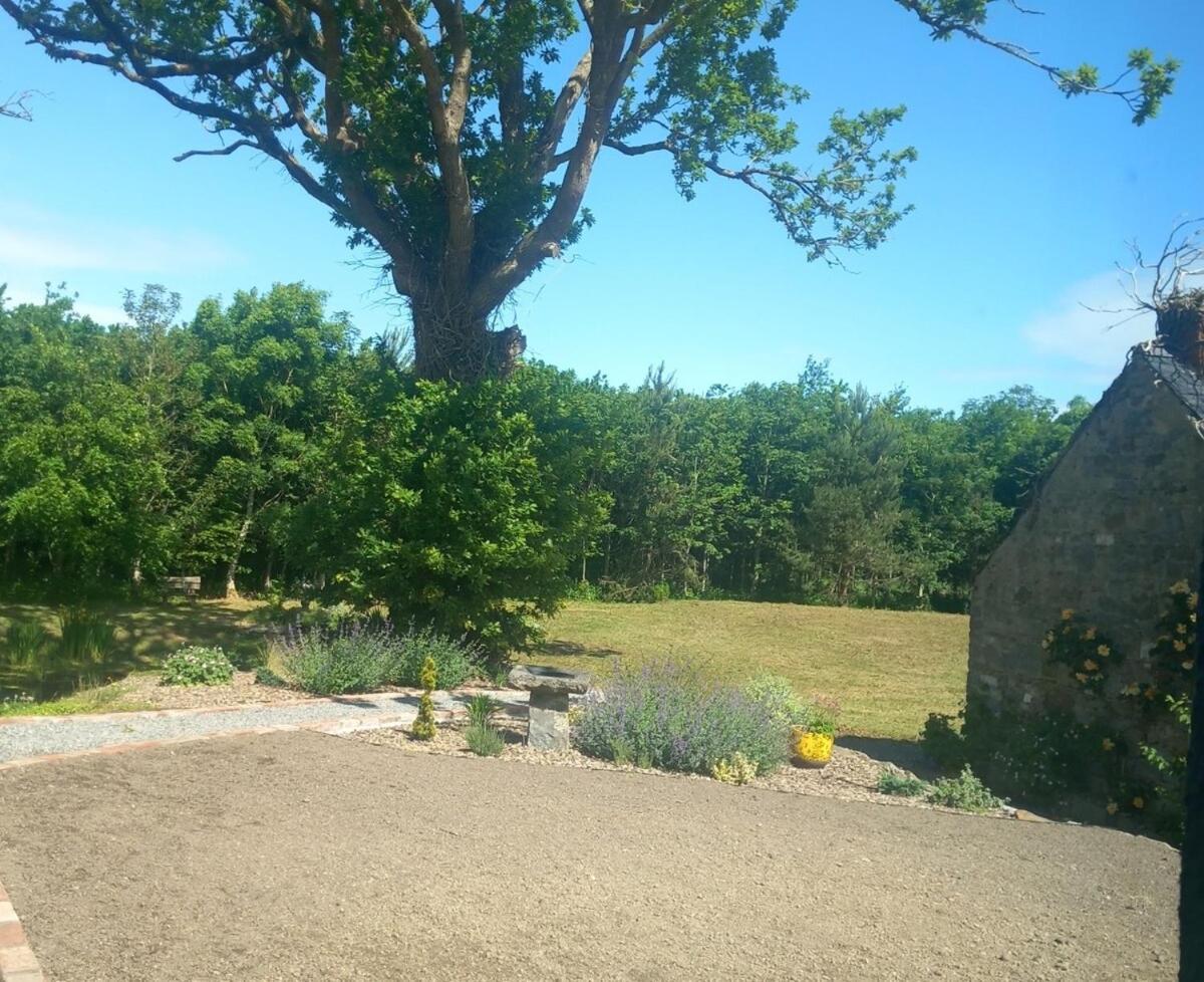 Hemma Grove - A Songbird Haven Casa vacanze