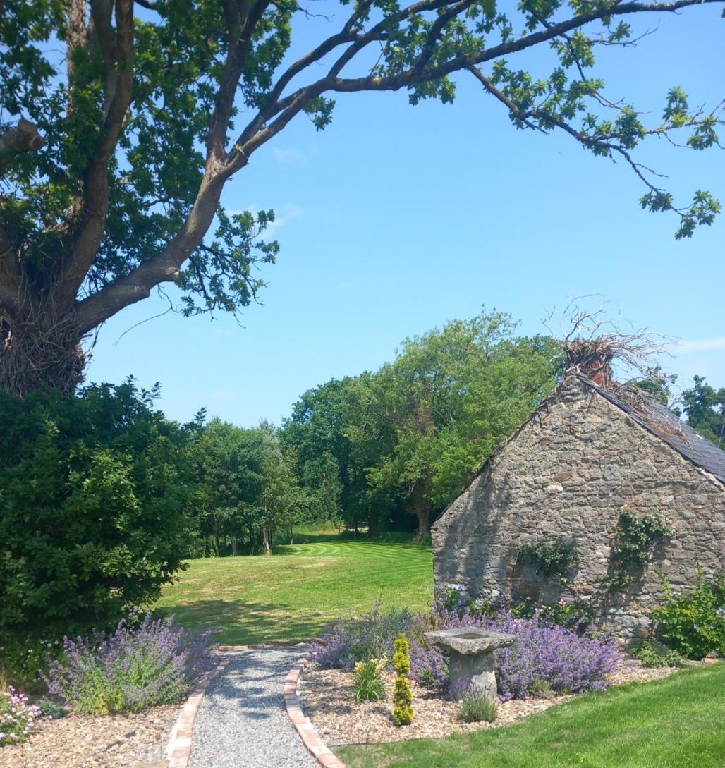 Hemma Grove - A Songbird Haven Casa vacanze